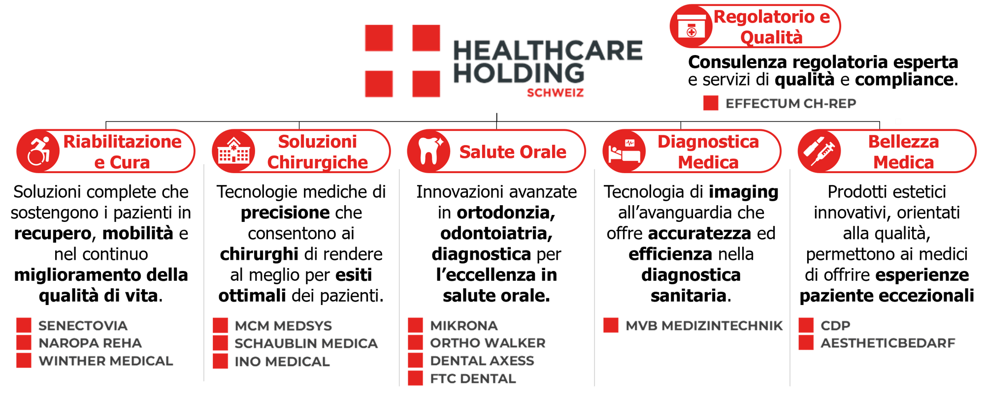 Portfolio-Healthcare Holding_IT Portfolio-Healthcare Holding_IT